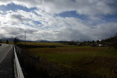 DSC_1022 (Large).JPG